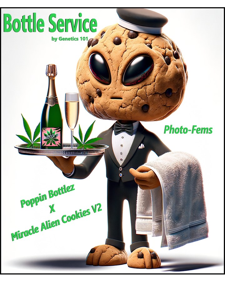 Bottle Service cover art by Genetics 101, MAC v2 crossed with Poppin Bottles