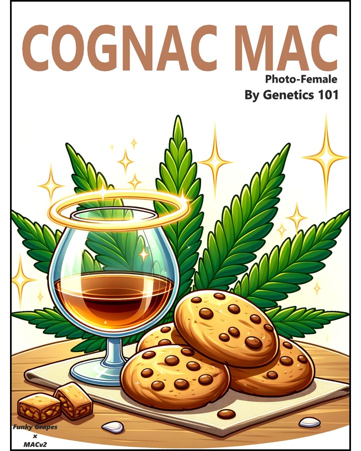 Cognac Mac cover art by Genetics 101, MAC v2 crossed with Funky Grapes