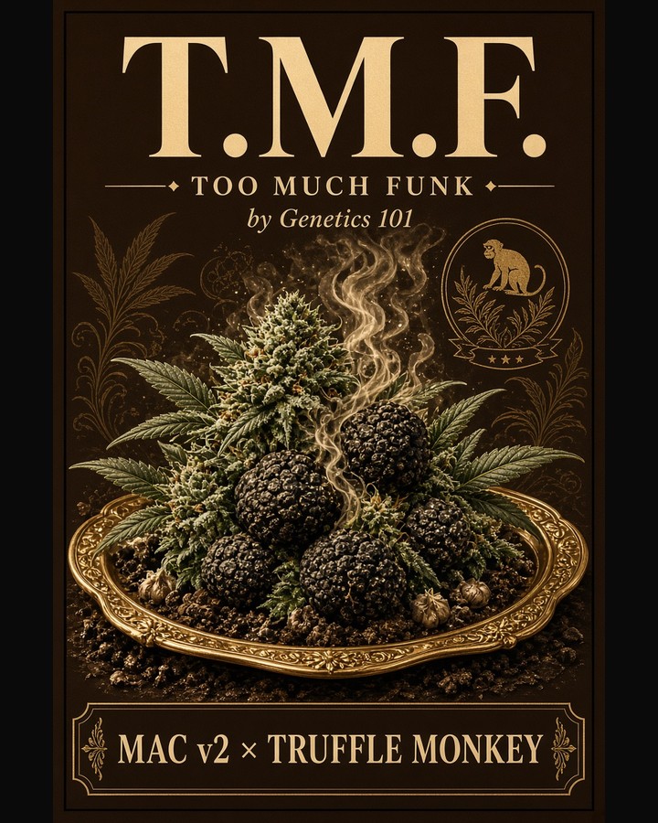 T.M.F. cover art by Genetics 101, MAC v2 crossed with Truffle Monkey
