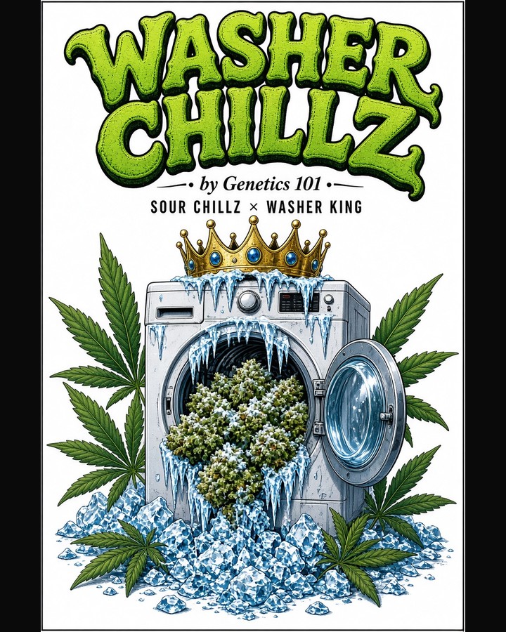 Washer Chillz cover art by Genetics 101