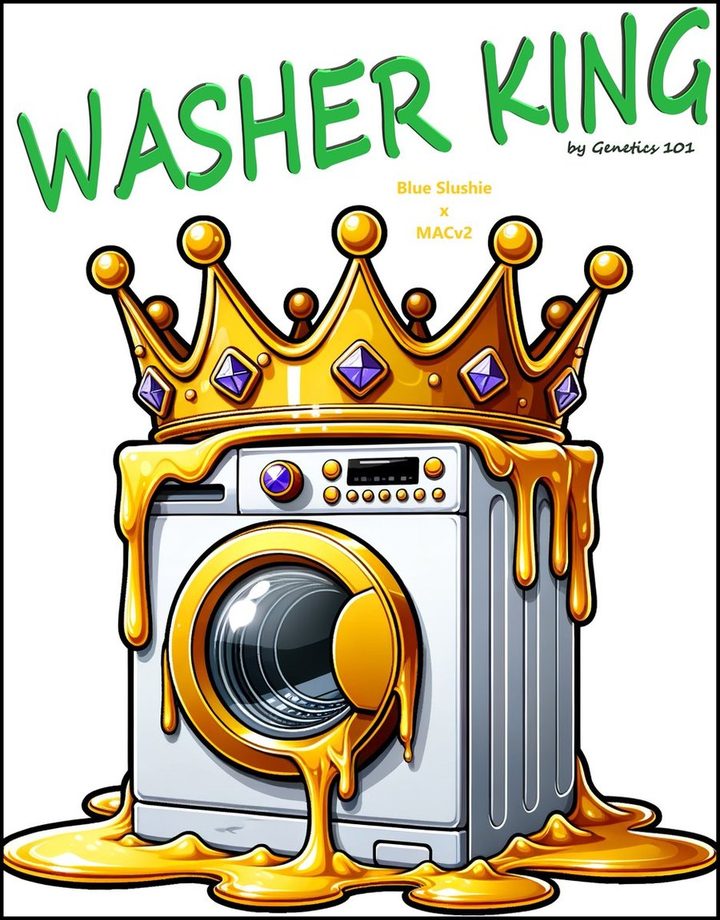 Washer King cover art by Genetics 101, MAC v2 line photo-fem